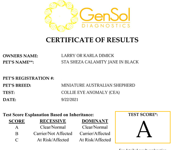 CJ's CEA test results CJ's CEA test results