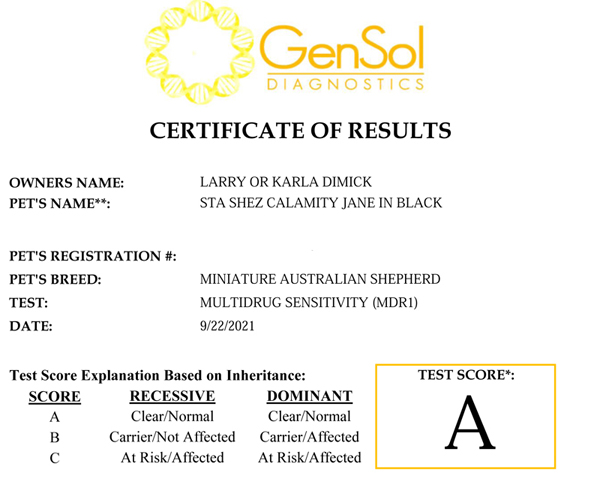 CJ's MDR1 test results CJ's MDR1 test results