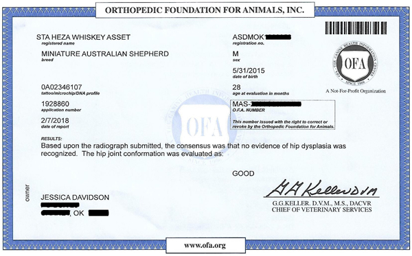 Whiskey's OFA Hip Score Whiskey's OFA Hip Score